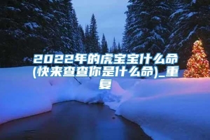 2022年的虎宝宝什么命(快来查查你是什么命)_重复