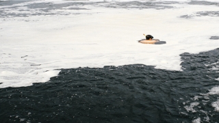 臭名远扬的意思是什么意思(臭名远扬啥意思)