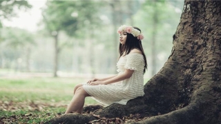 解读十二地支相害用法(地支的生旺死绝)