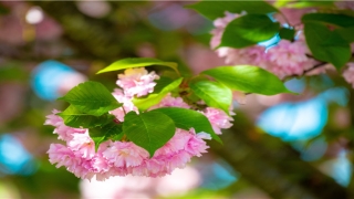 2021年出生男宝起名(2021男孩起名)_重复