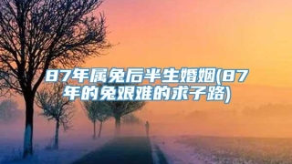 87年属兔后半生婚姻(87年的兔艰难的求子路)