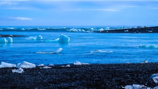 2020年1月生肖虎运气如何(2020年 生肖)_重复