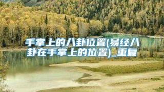 手掌上的八卦位置(易经八卦在手掌上的位置)_重复