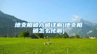地支相破六破详解(地支相破怎么化解)