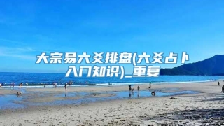 大宗易六爻排盘(六爻占卜入门知识)_重复