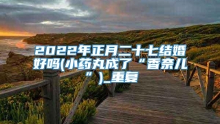 2022年正月二十七结婚好吗(小药丸成了“香奈儿”)_重复