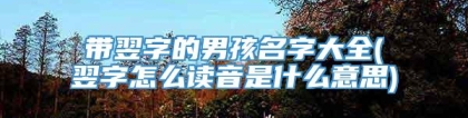 带翌字的男孩名字大全(翌字怎么读音是什么意思)