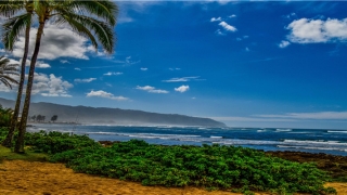 虫族匹配式婚姻(暴娇可爱女主沙雕文)