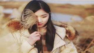 眉毛上有痣代表什么(眉毛高的人有什么特点)