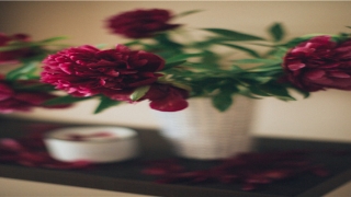 高端大气上档次的帮派名字(梦幻西游每个帮派最多拥有几个帮主)