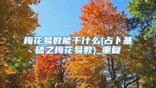 梅花易数能干什么(占卜基础之梅花易数)_重复