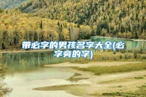 带必字的男孩名字大全(必字旁的字)