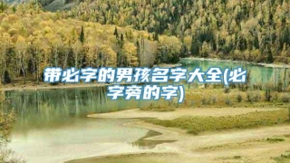 带必字的男孩名字大全(必字旁的字)