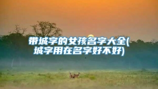带城字的女孩名字大全(城字用在名字好不好)