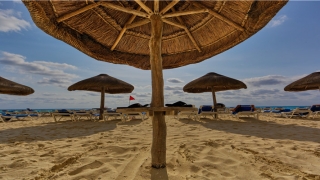 看相算命大全(八种福禄面相)