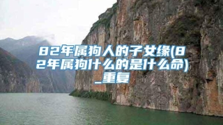 82年属狗人的子女缘(82年属狗什么的是什么命)_重复