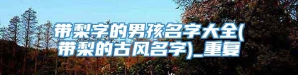 带梨字的男孩名字大全(带梨的古风名字)_重复