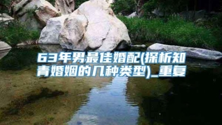 63年男最佳婚配(探析知青婚姻的几种类型)_重复