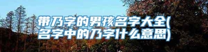 带乃字的男孩名字大全(名字中的乃字什么意思)