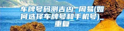 车牌号码测吉凶 周易(如何选择车牌号和手机号)_重复