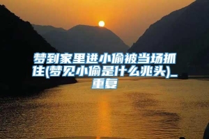 梦到家里进小偷被当场抓住(梦见小偷是什么兆头)_重复