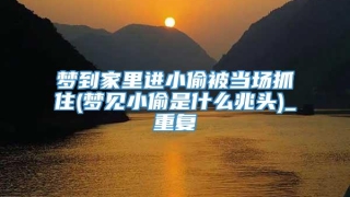 梦到家里进小偷被当场抓住(梦见小偷是什么兆头)_重复