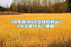 78年属马42岁以后财运(28岁是什么)_重复