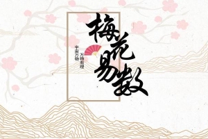 陈春林梅花易数厉害吗(我这些年用的梅花易数)