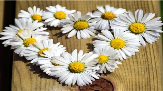 等成绩的人梦到考试成绩(梦见发考试卷子成绩)