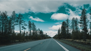 八字测美貌程度(八字看美貌)