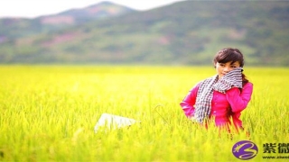 眉毛里头长痣(眉上长痣的位置代表什么)