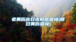 老黄历吉日吉时辰查询(明日黄历查询)