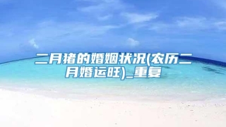 二月猪的婚姻状况(农历二月婚运旺)_重复