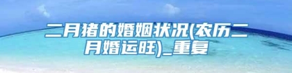 二月猪的婚姻状况(农历二月婚运旺)_重复