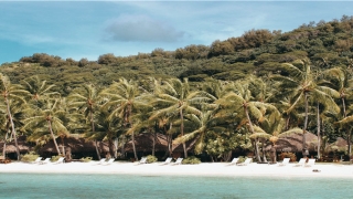 87年属兔人十年大运(1987年今年的运势)