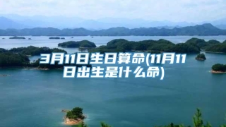 3月11日生日算命(11月11日出生是什么命)