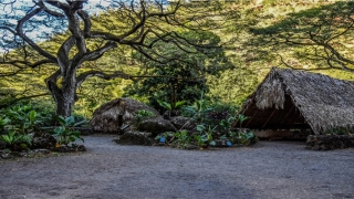 31岁属马的婚姻今年怎么样(31岁金晨花式秀身材)_重复