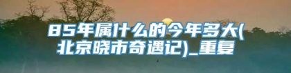 85年属什么的今年多大(北京晓市奇遇记)_重复