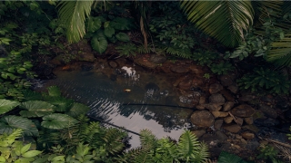 73年是什么命(73年牛男命一生运势)_重复