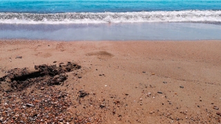 带卿的女孩名字(卿字用于女名字的意思)