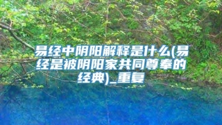 易经中阴阳解释是什么(易经是被阴阳家共同尊奉的经典)_重复