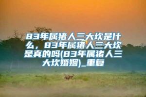 83年属猪人三大坎是什么，83年属猪人三大坎是真的吗(83年属猪人三大坎婚姻)_重复