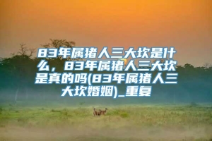 83年属猪人三大坎是什么，83年属猪人三大坎是真的吗(83年属猪人三大坎婚姻)_重复