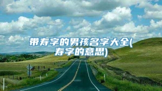 带寿字的男孩名字大全(寿字的意思)