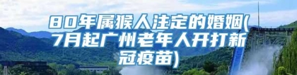 80年属猴人注定的婚姻(7月起广州老年人开打新冠疫苗)