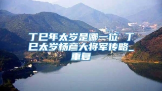 丁巳年太岁是哪一位 丁巳太岁杨彦大将军传略_重复