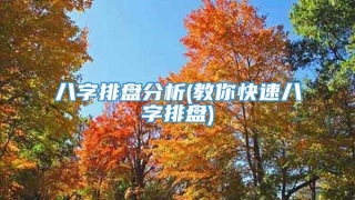 八字排盘分析(教你快速八字排盘)