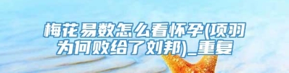 梅花易数怎么看怀孕(项羽为何败给了刘邦)_重复