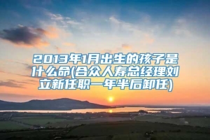 2013年1月出生的孩子是什么命(合众人寿总经理刘立新任职一年半后卸任)