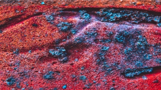 八字测算适合行业(八字中什么叫比劫)